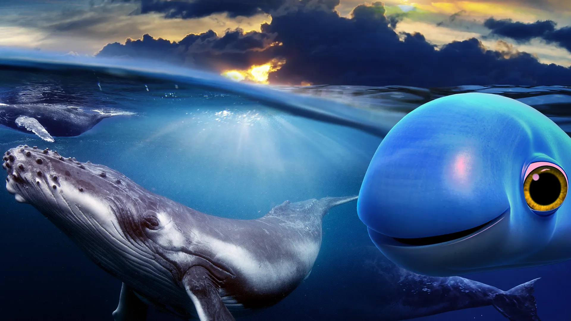 Shark School: Whale World