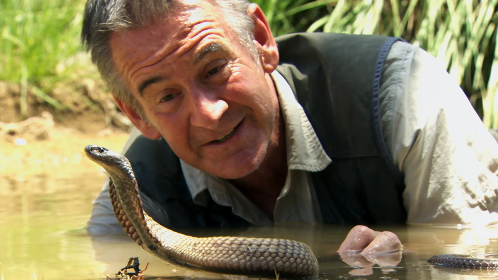 Ten Deadliest Snakes with Nigel Marven