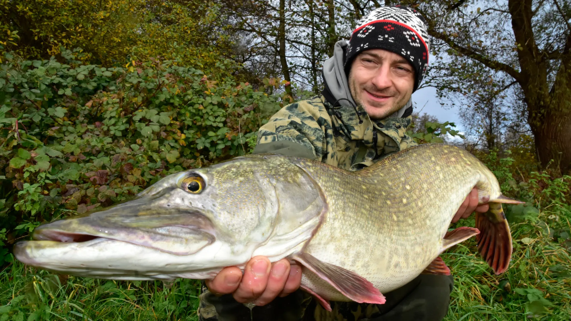 Hechte und Zander erfolgreich mit dem Köderfisch fangen