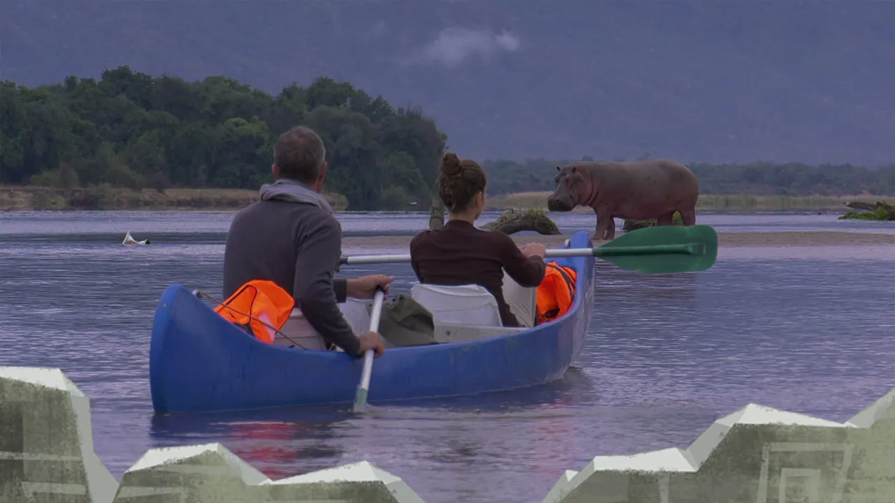 Epic Safari Destinations