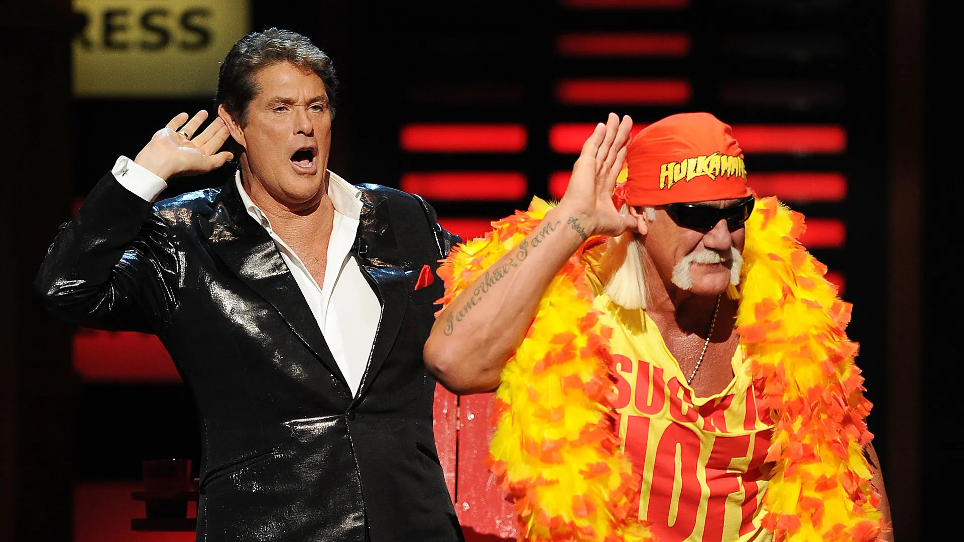 The Roast of David Hasselhoff