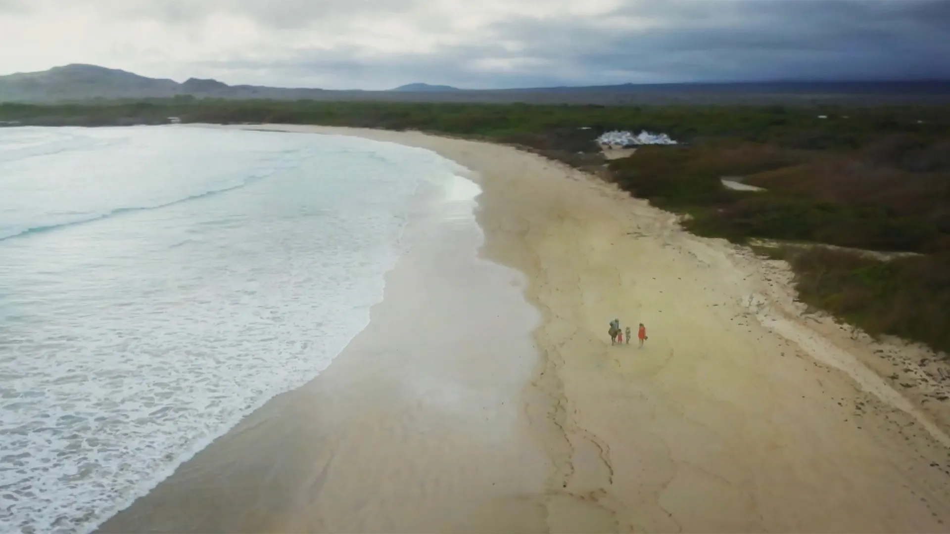 My Family and The Galapagos