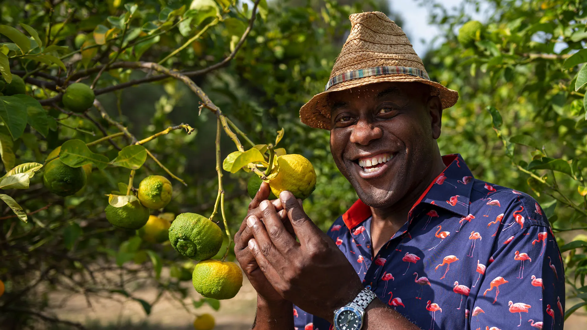 Ainsley's Mediterranean Cookbook