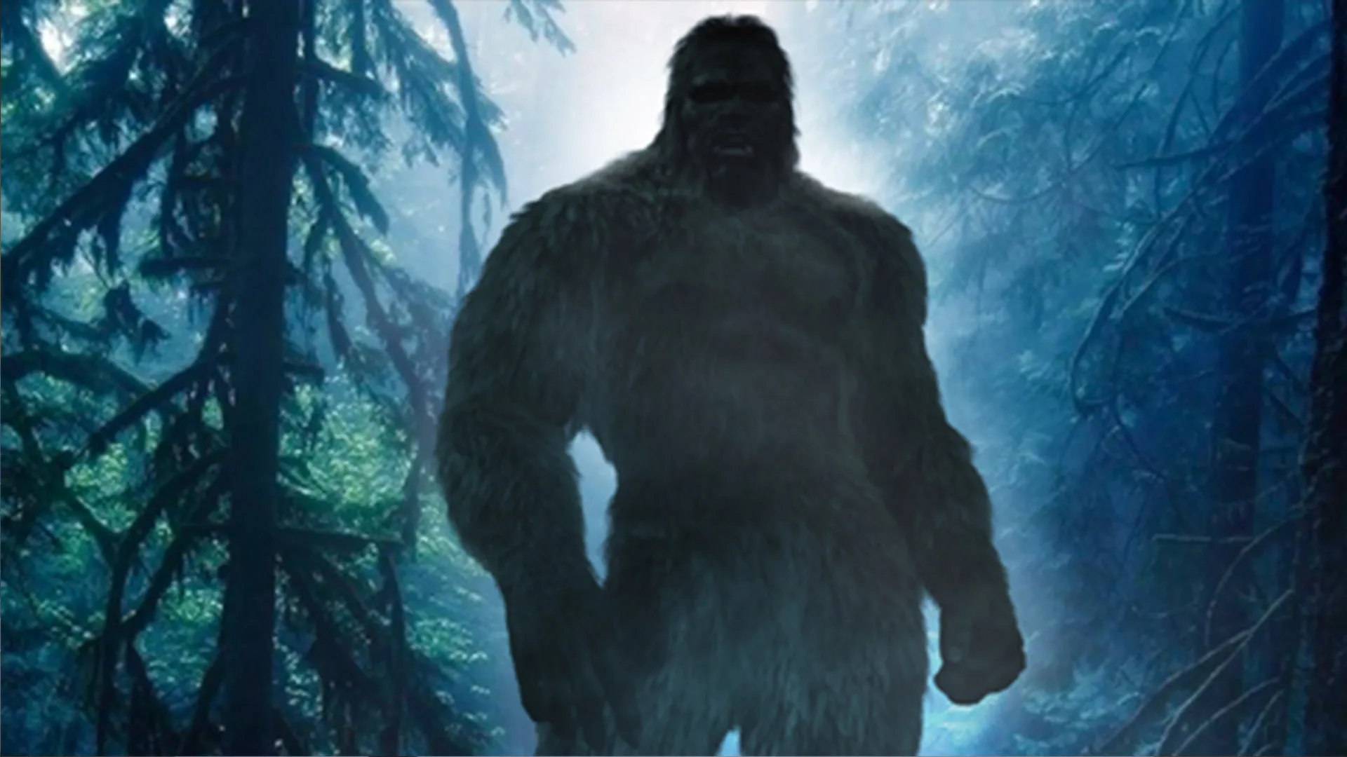 Chasing Bigfoot