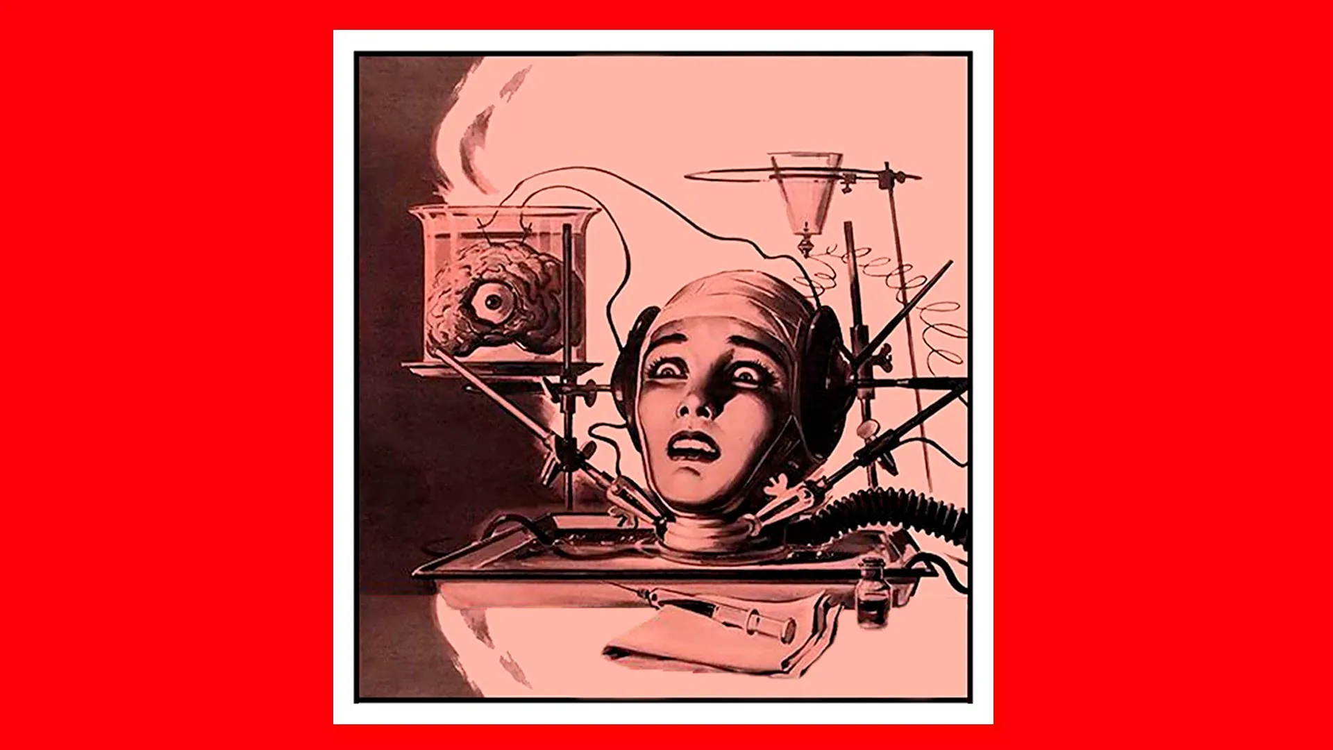 El cerebro que no podía morir