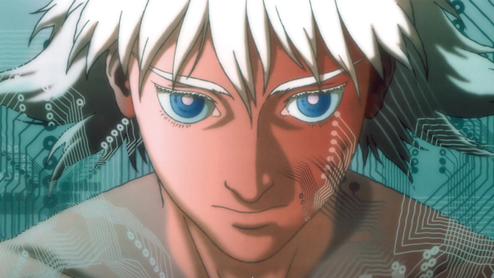 Ghost In The Shell