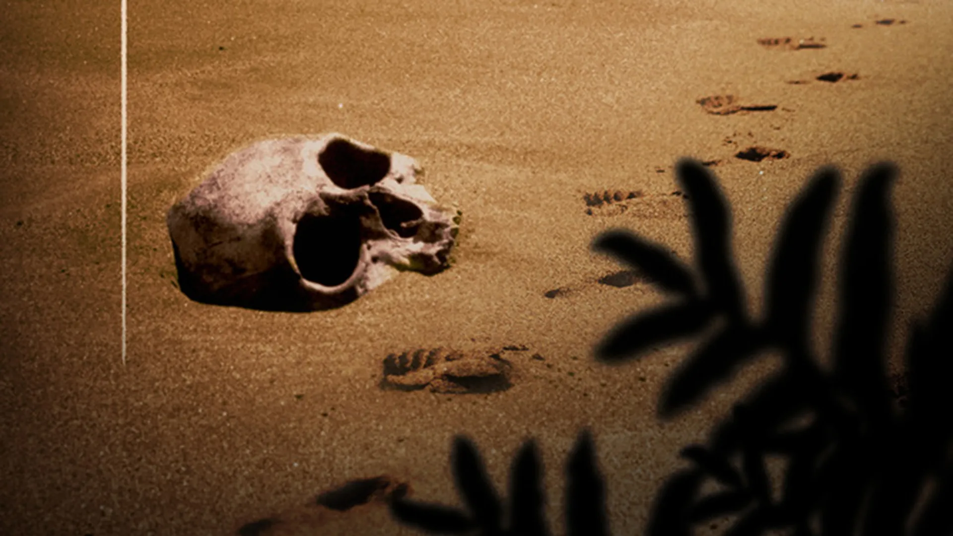 The Pacific War: Okinawa & Guadalcanal