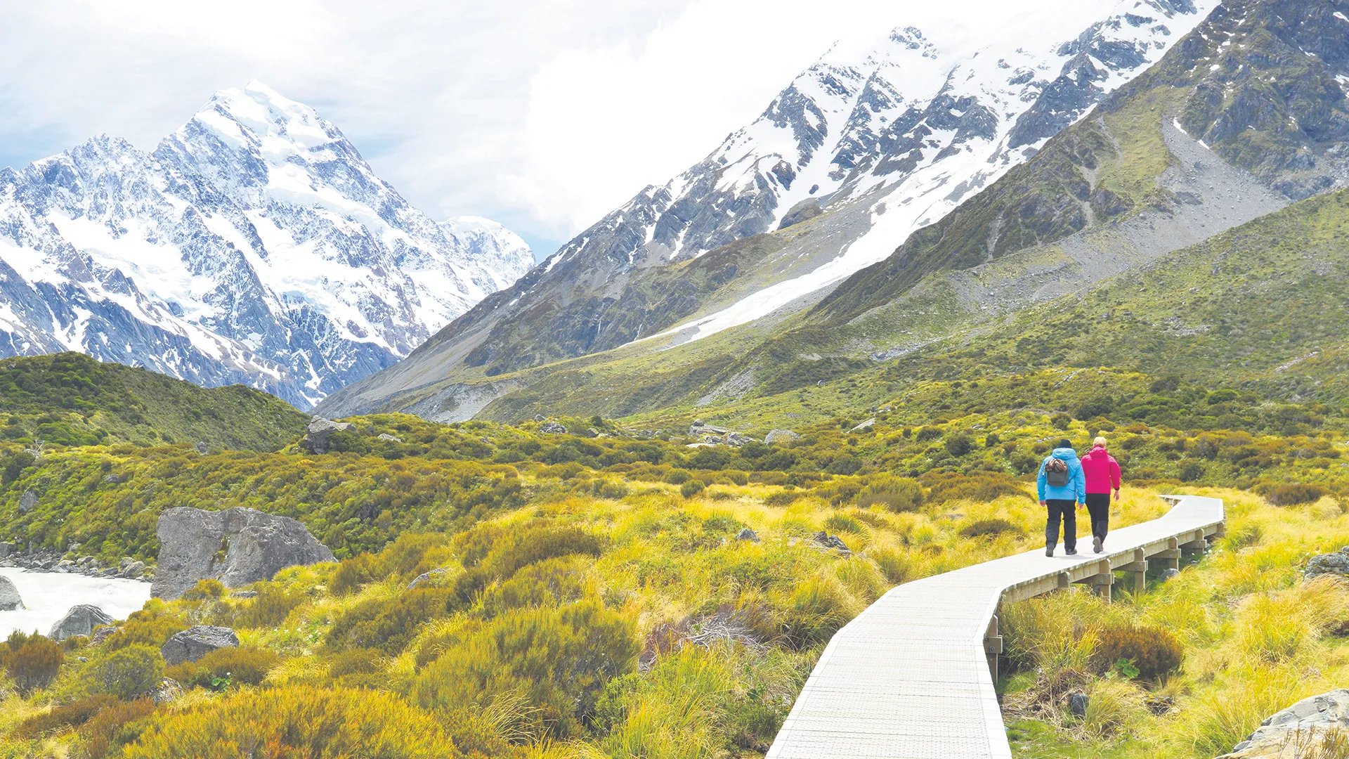 Wild About New Zealand
