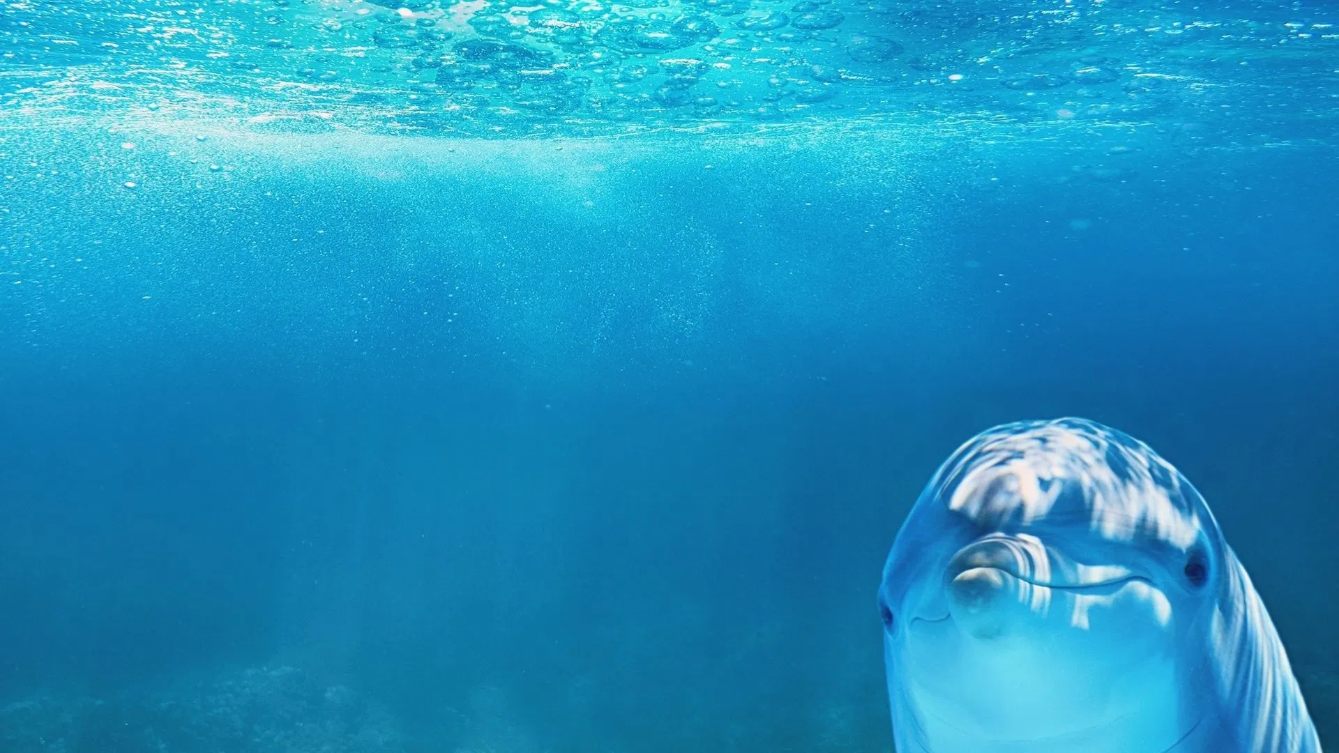 New Life: Born to Swim