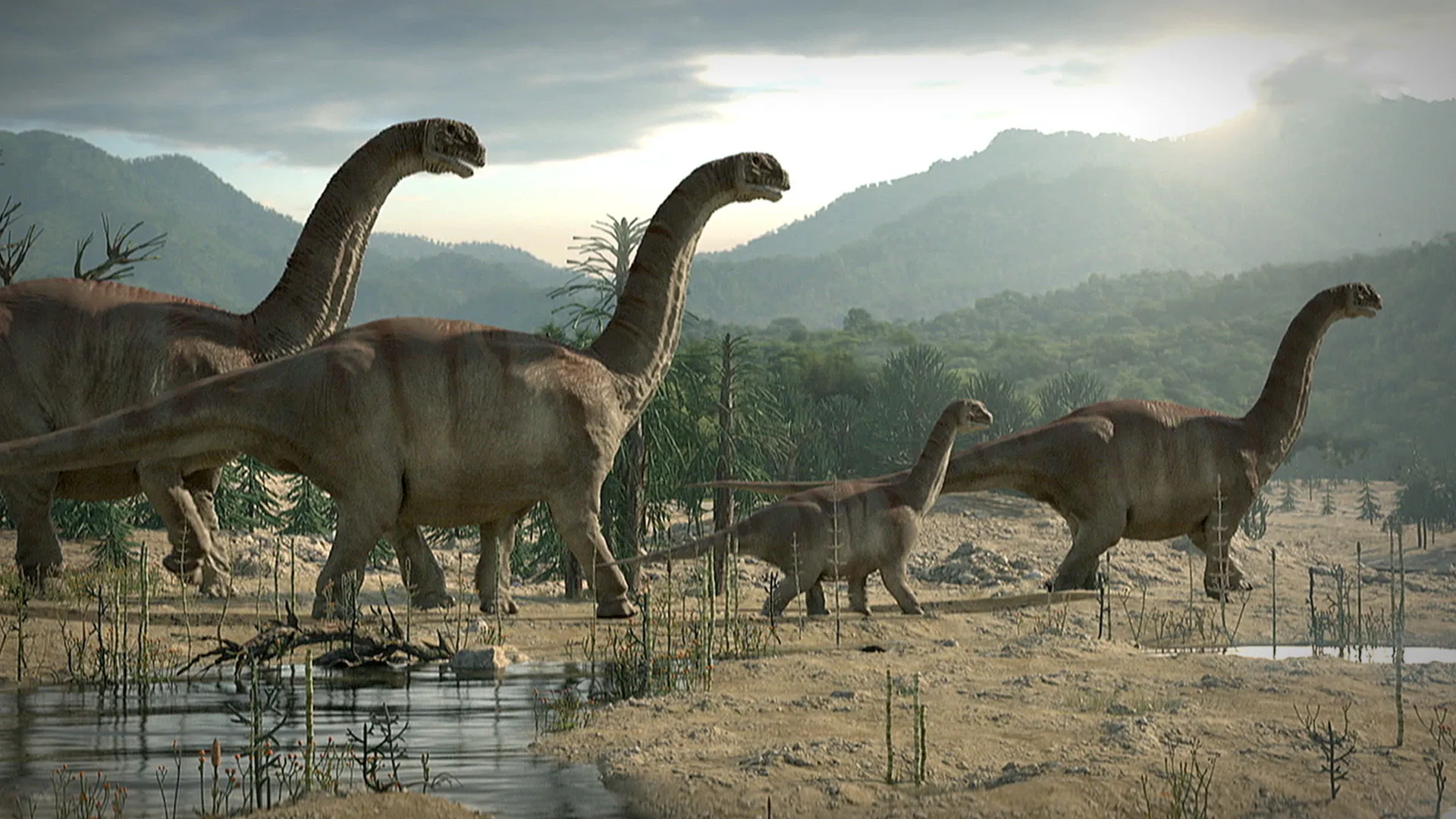 Great Moments in Evolution