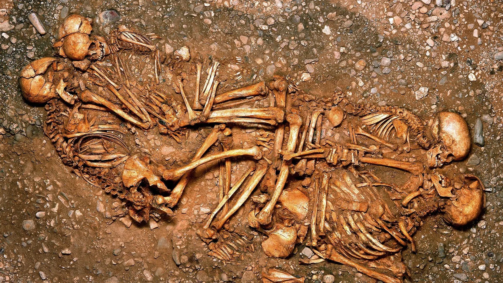 Crime Scene Eulau - The Mystery of the 13 Skeletons