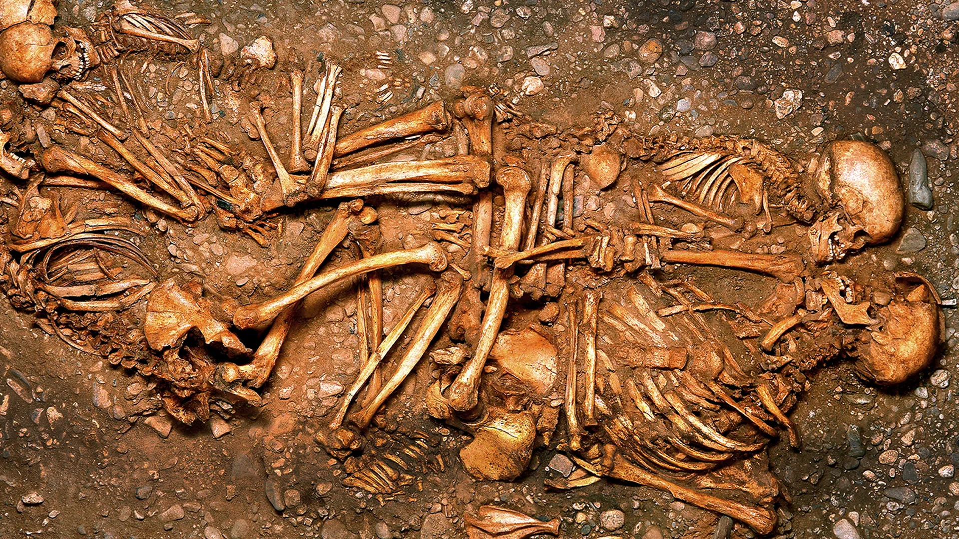 Crime Scene Eulau - The Mystery of the 13 Skeletons