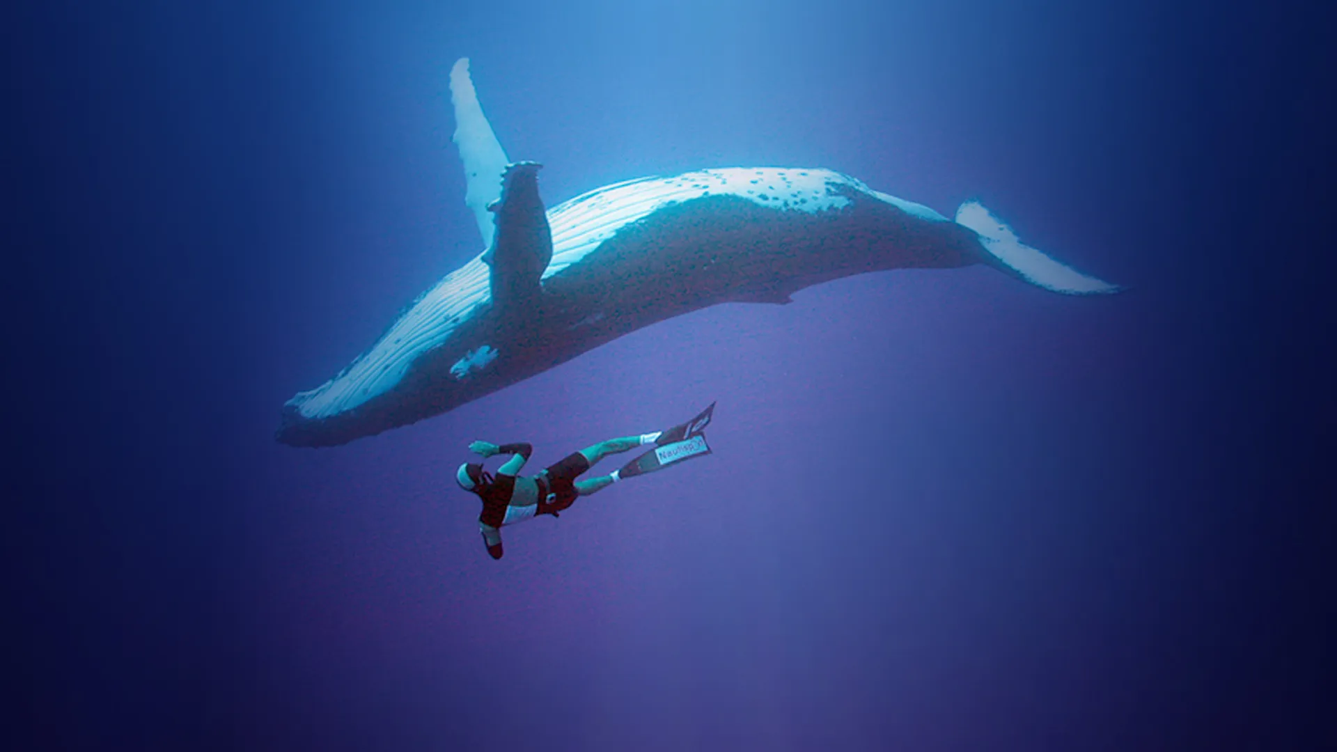 Adventure Ocean Quest