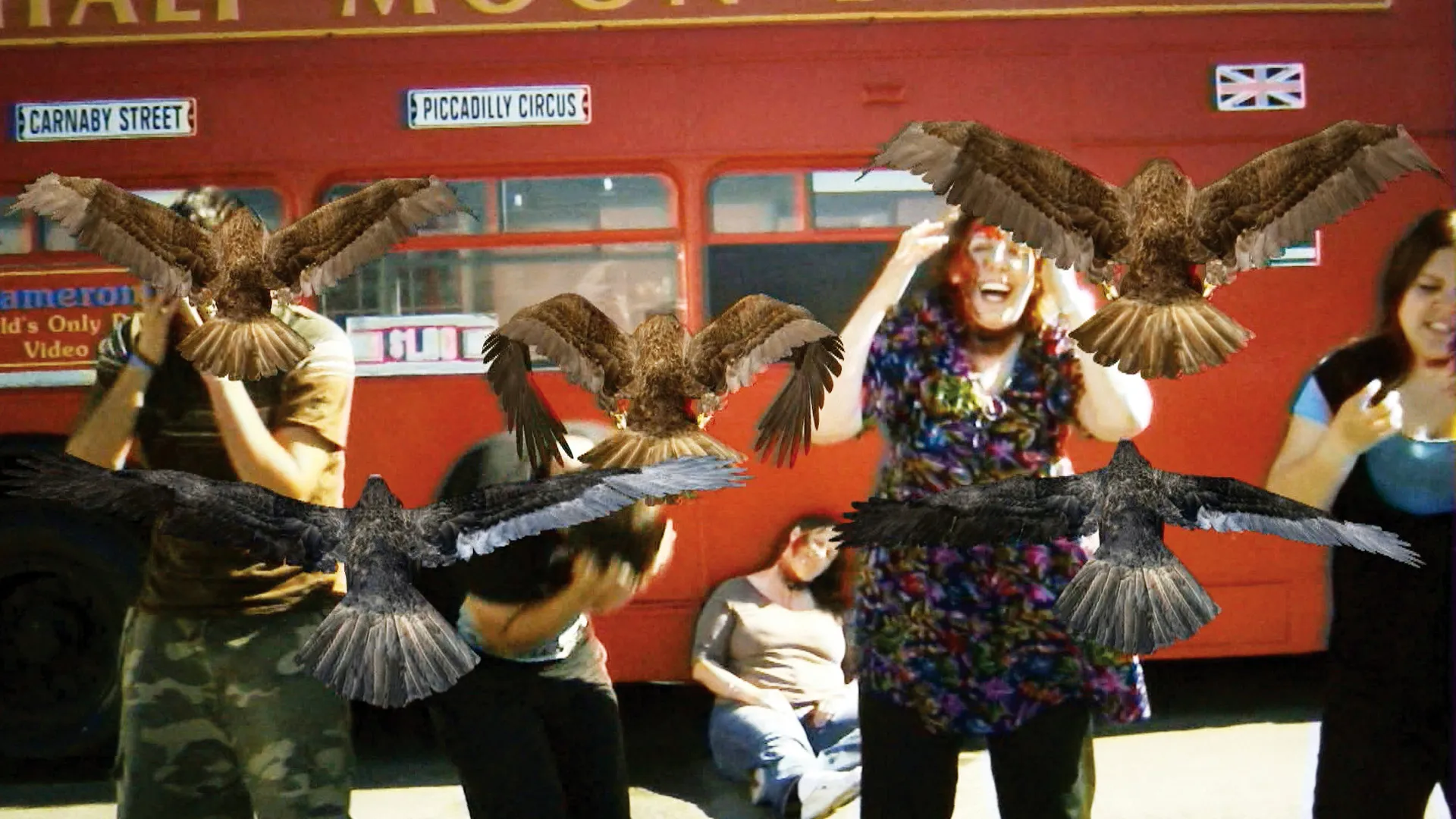 Birdemic: Shock and Terror