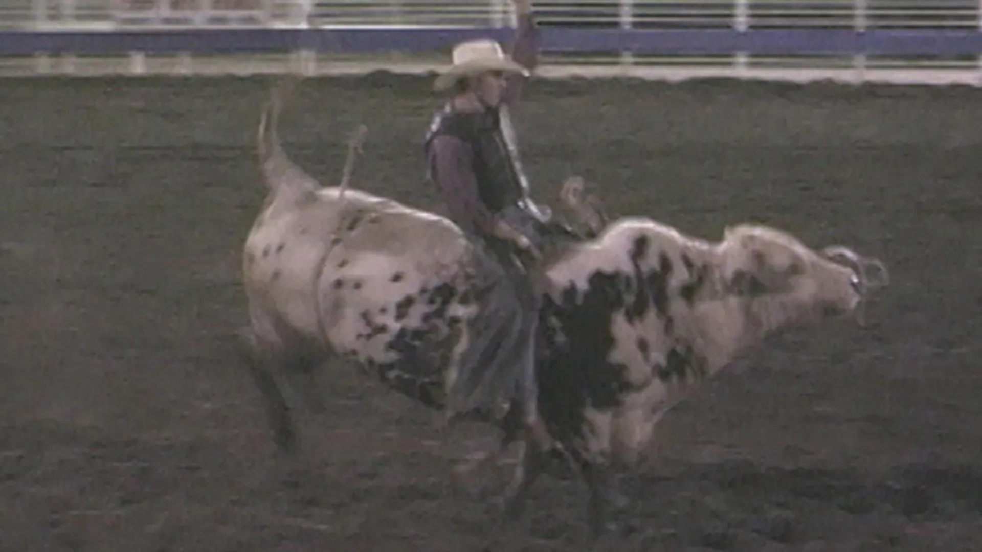 I Witness - Big Codeo Rodeo