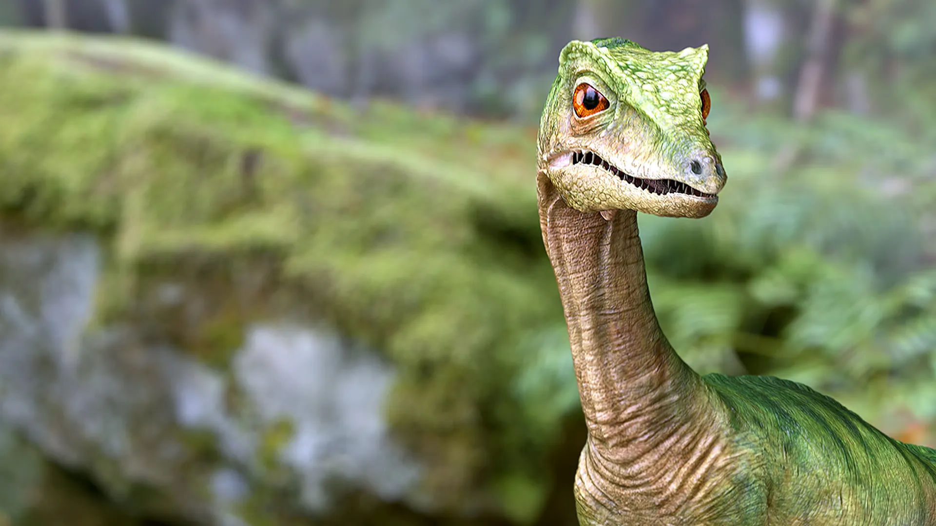 300 Million Years