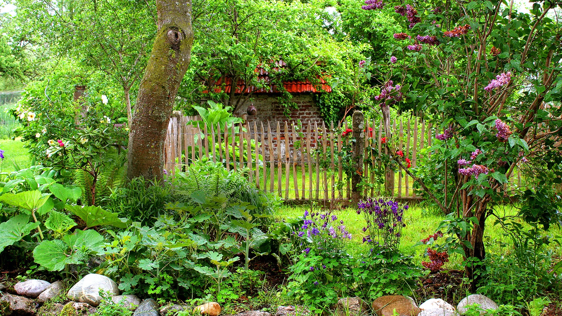 The Secret Garden