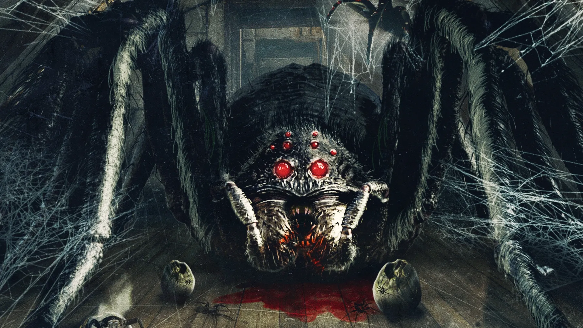 Araña en el ático