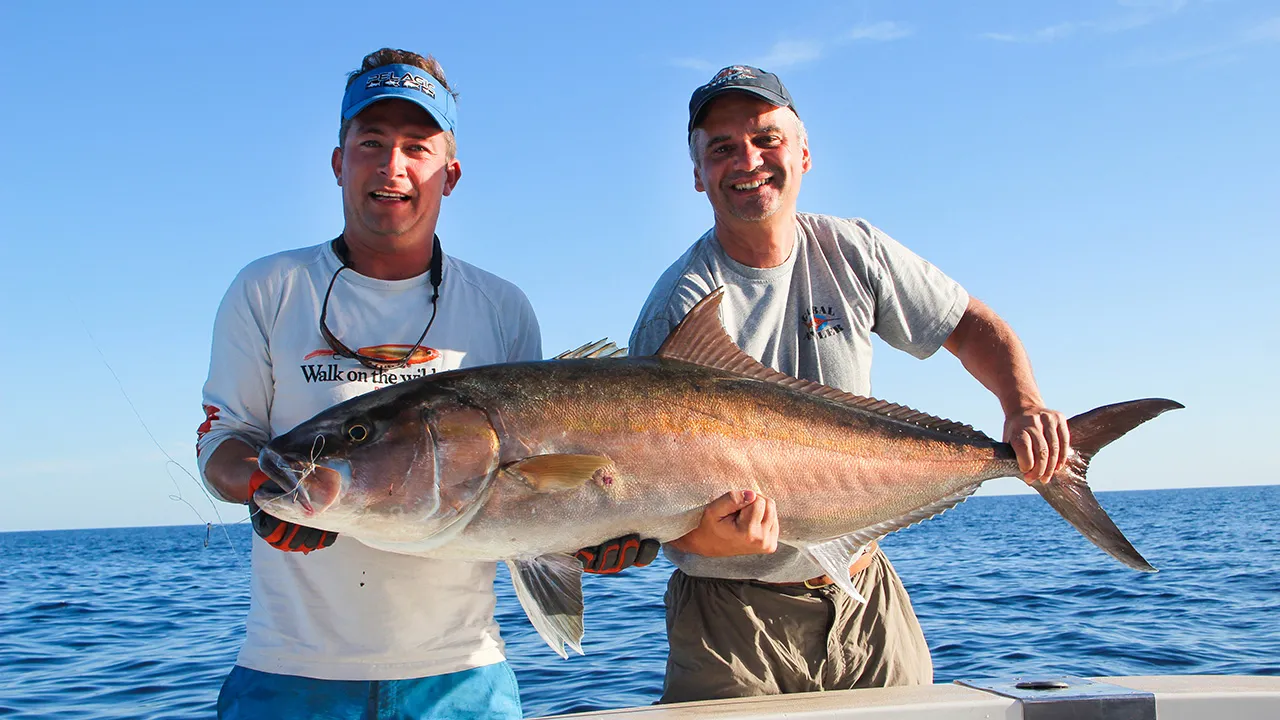 Amberjack-Party vor der Baleareninsel Ibiza