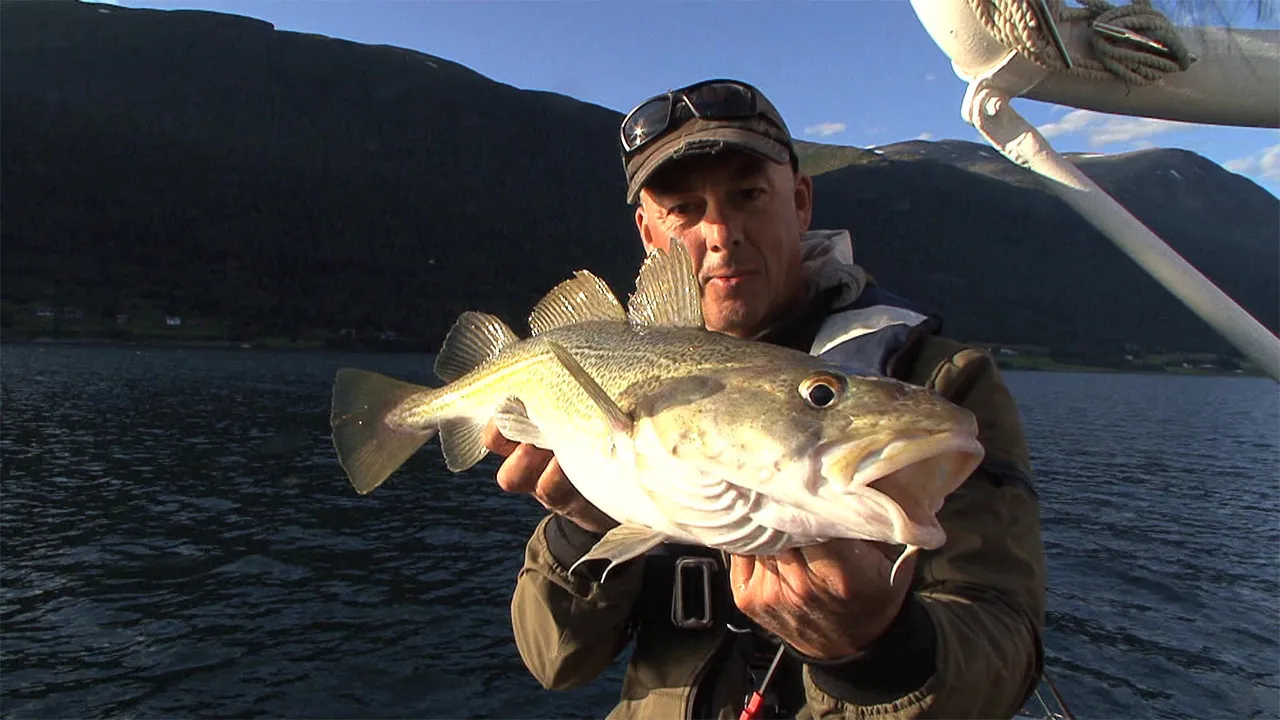 Angeln im Romsdalsfjord