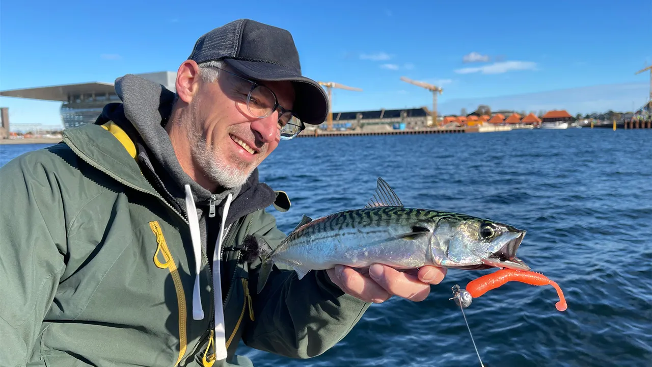 Angeln in Dänemark - Fische, Fun und Ferien