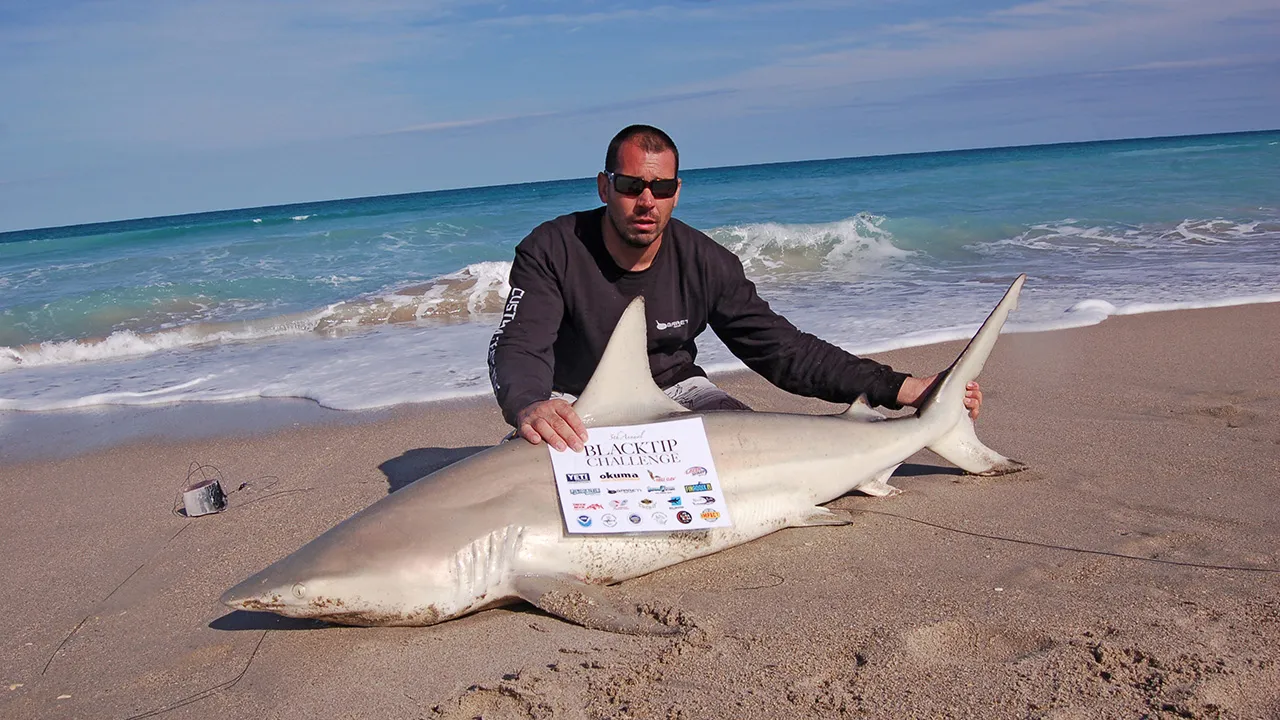 Blacktip Challenge - Riesige Haie an Floridas Ostküste