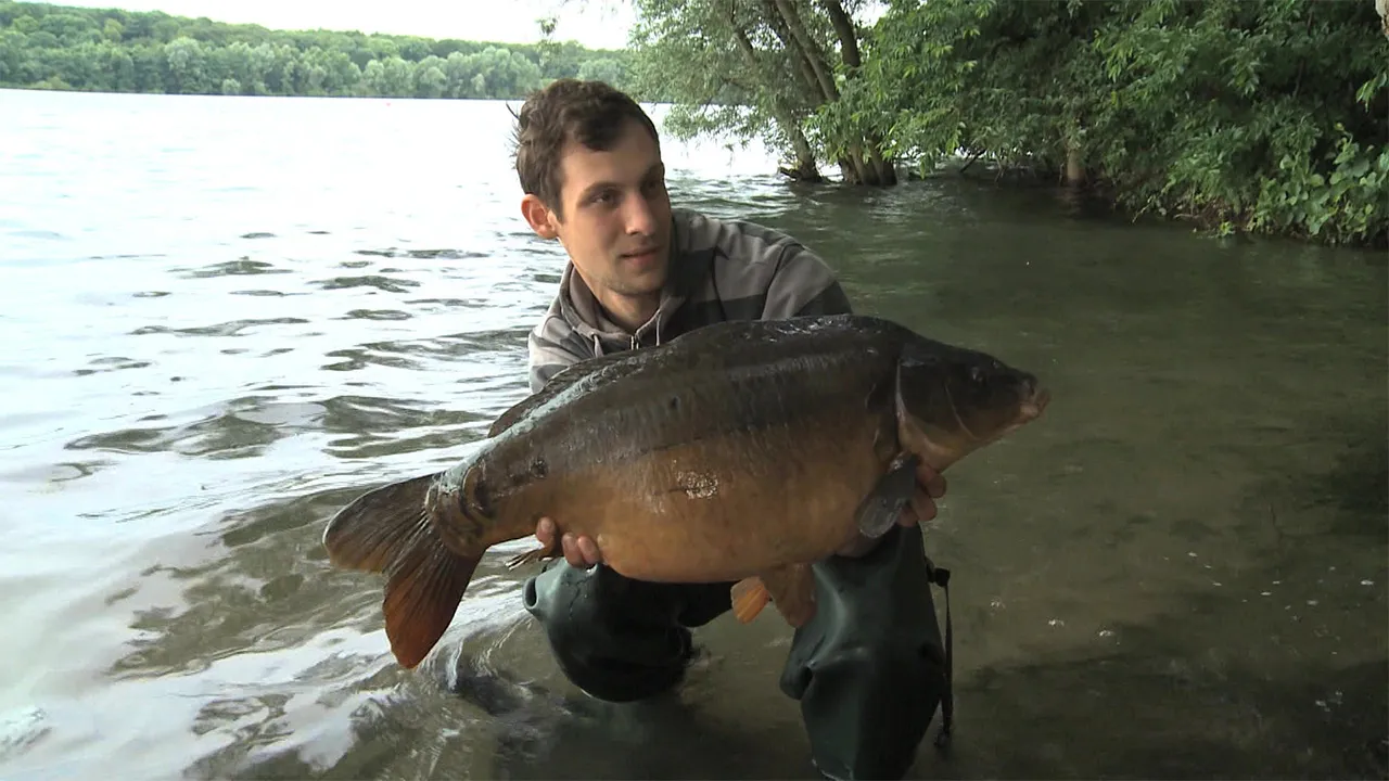 Karpfenangeln im Baggersee