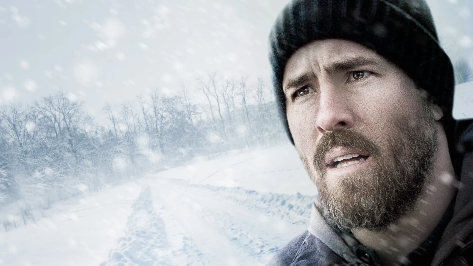 The Captive