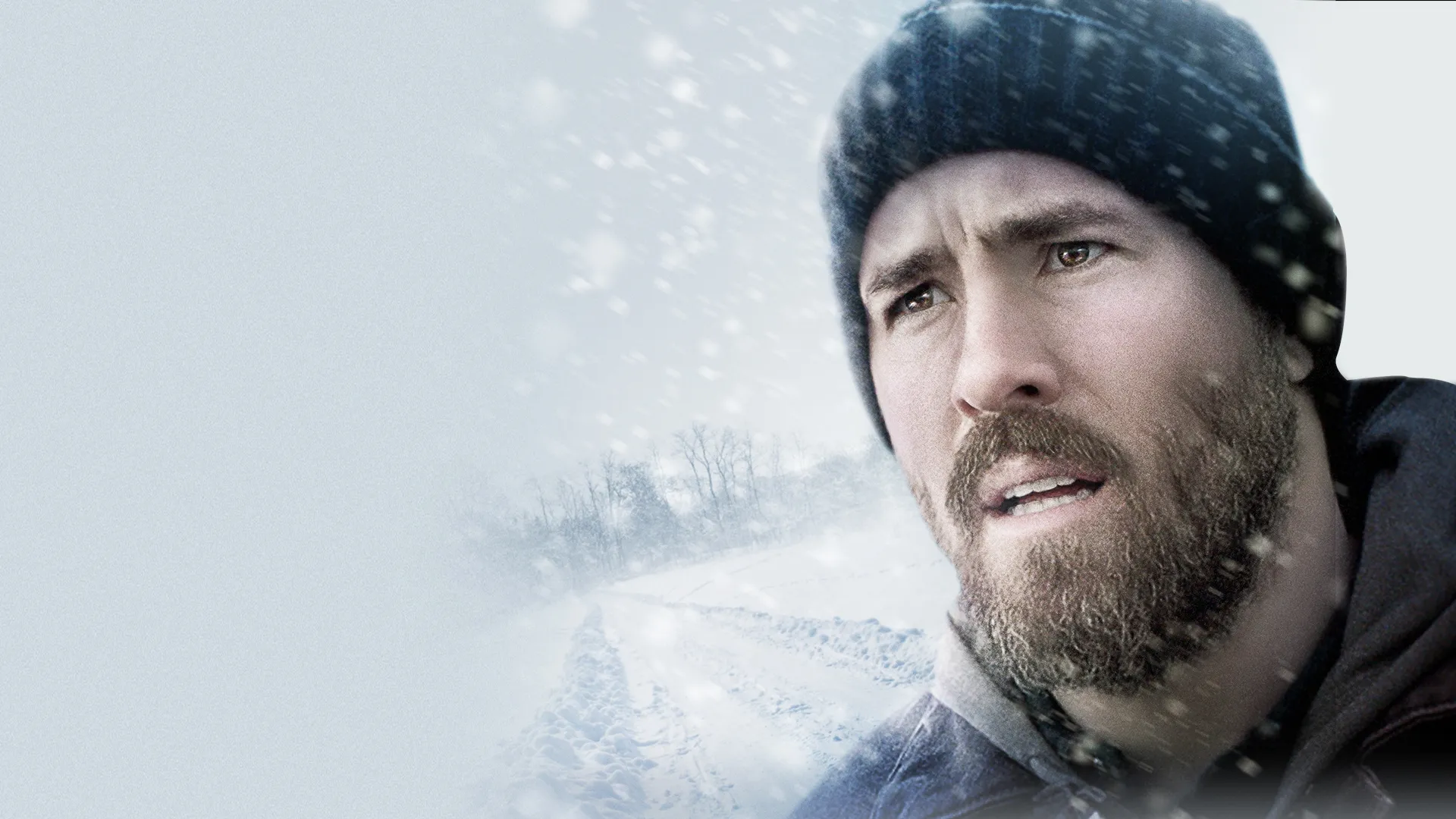 The Captive