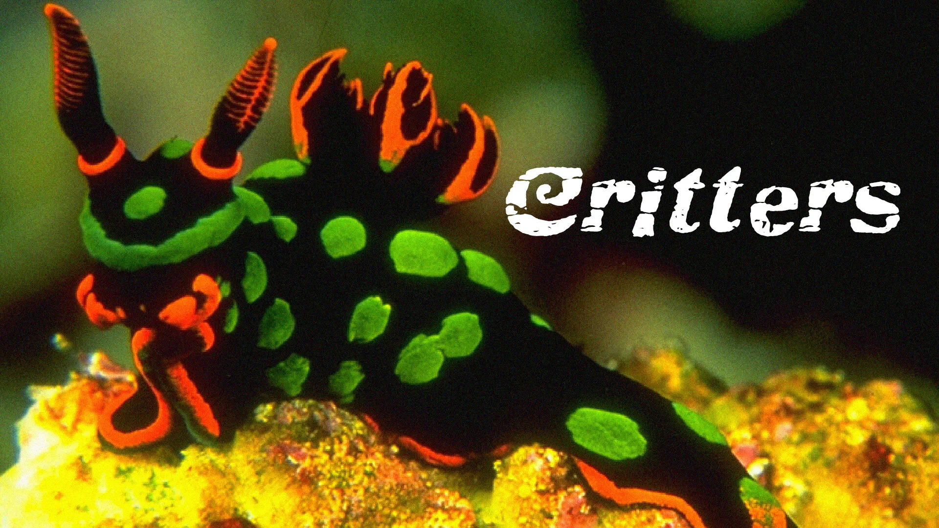 Critters