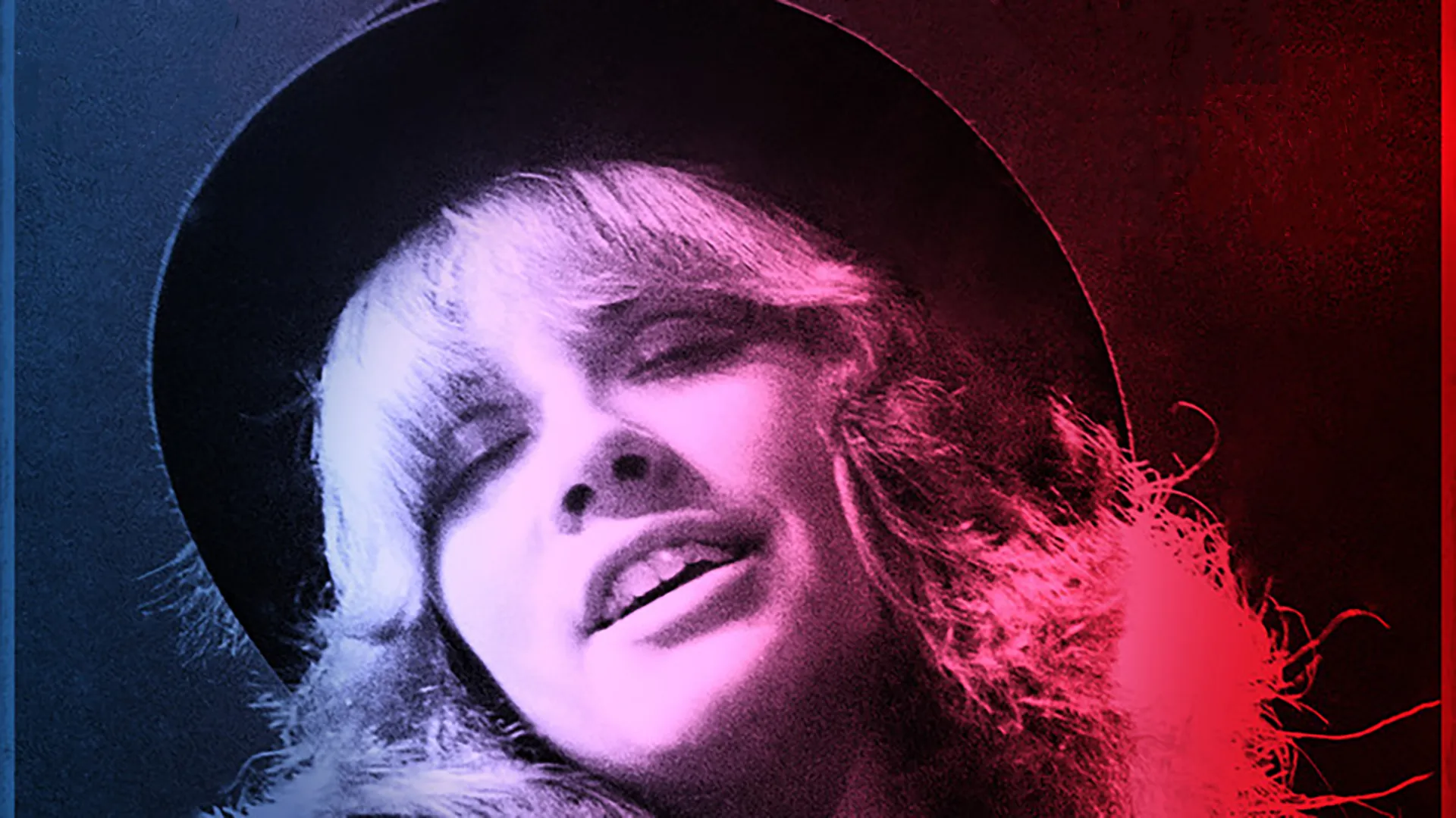 Stevie Nicks: Wild at Heart