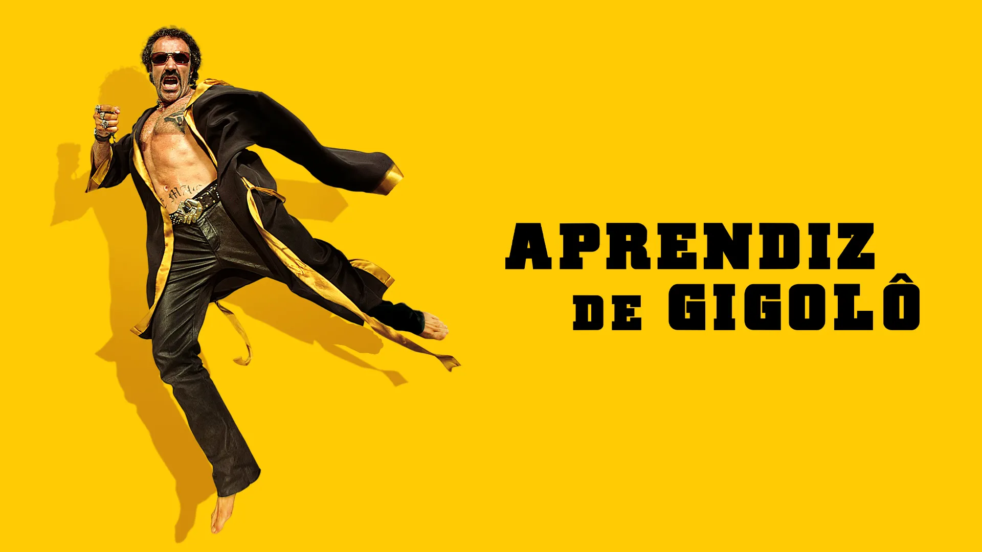 Aprendiz de Gigolô