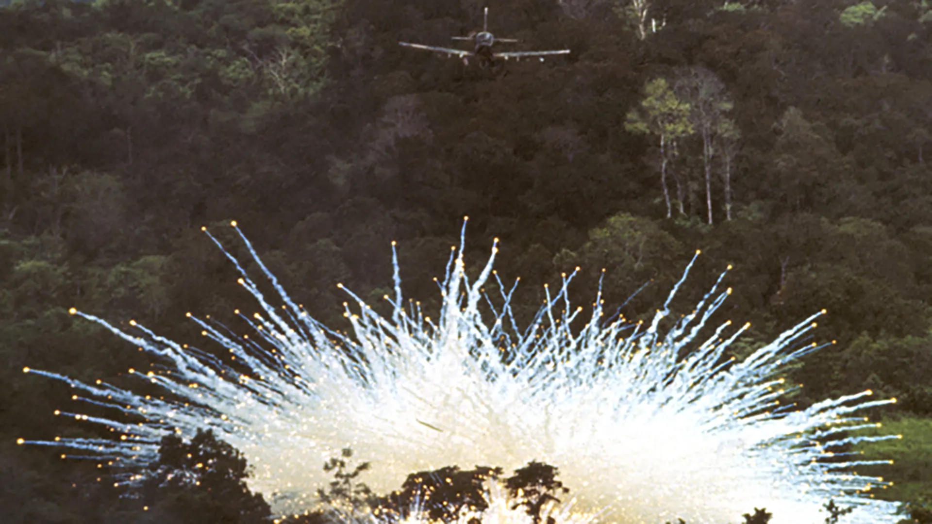 19 Years in Vietnam: Unaccompanied, Unarmed and Unafraid