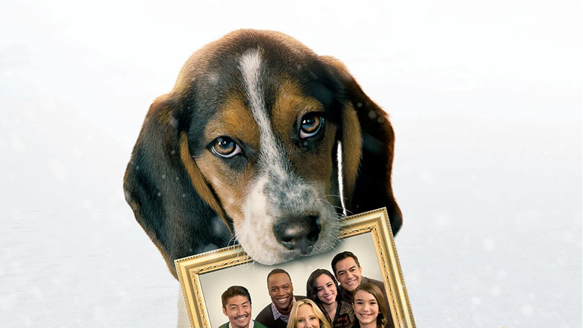 One Christmas Eve