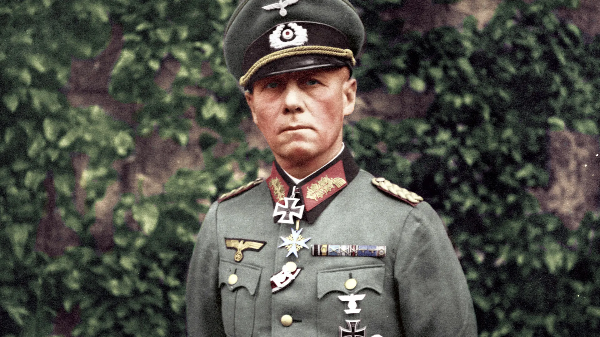 Rommel: The Soldier, The Son, and Hitler