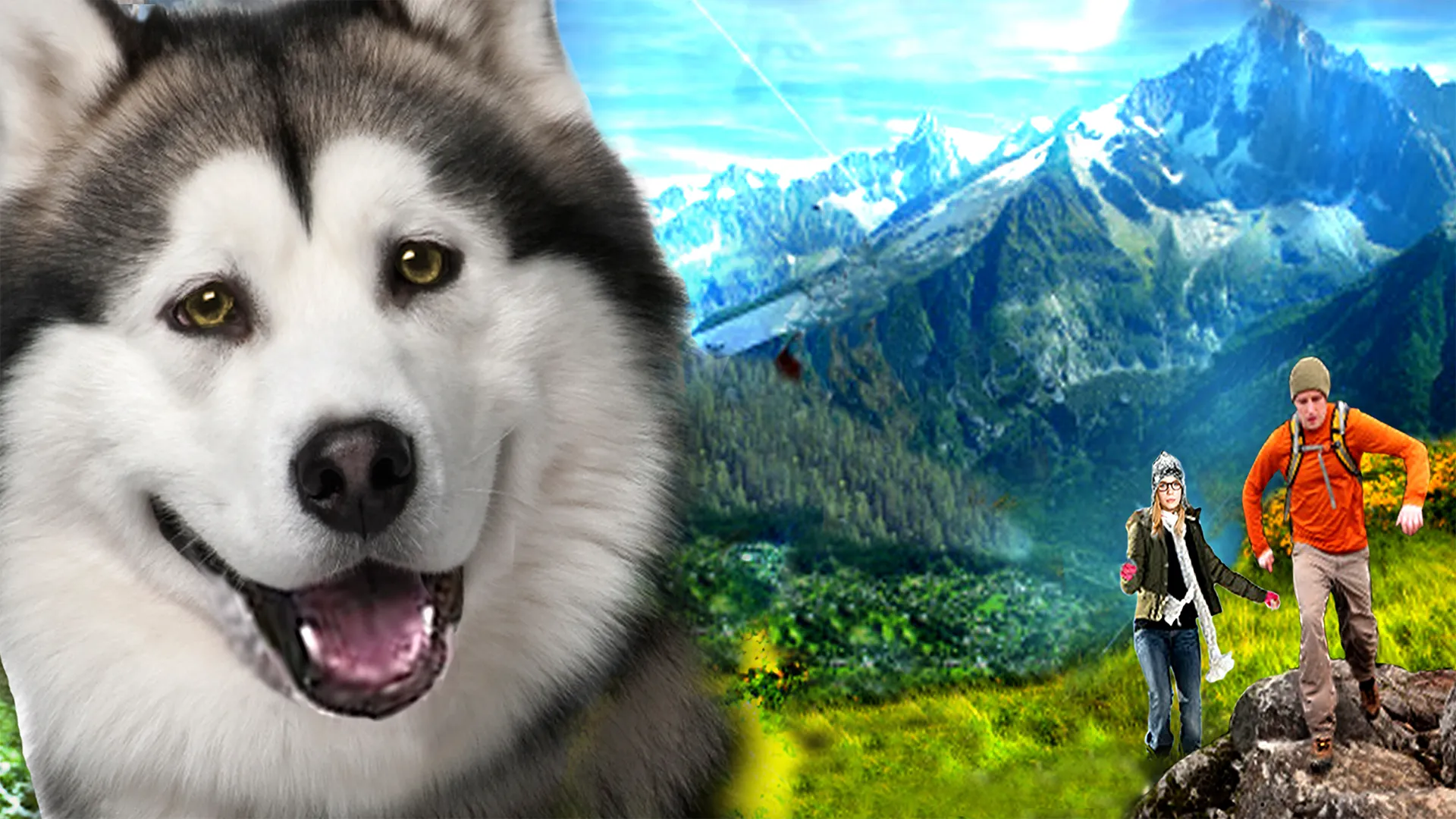 Uma Aventura Animal