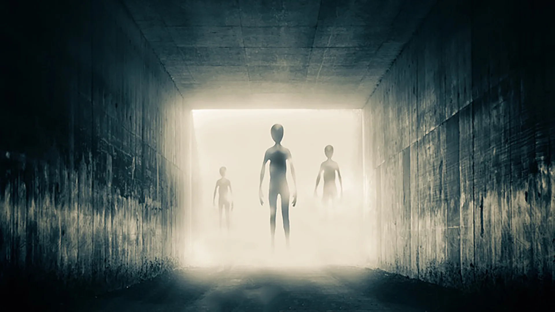Are They Here? UFOs Caught on Camera