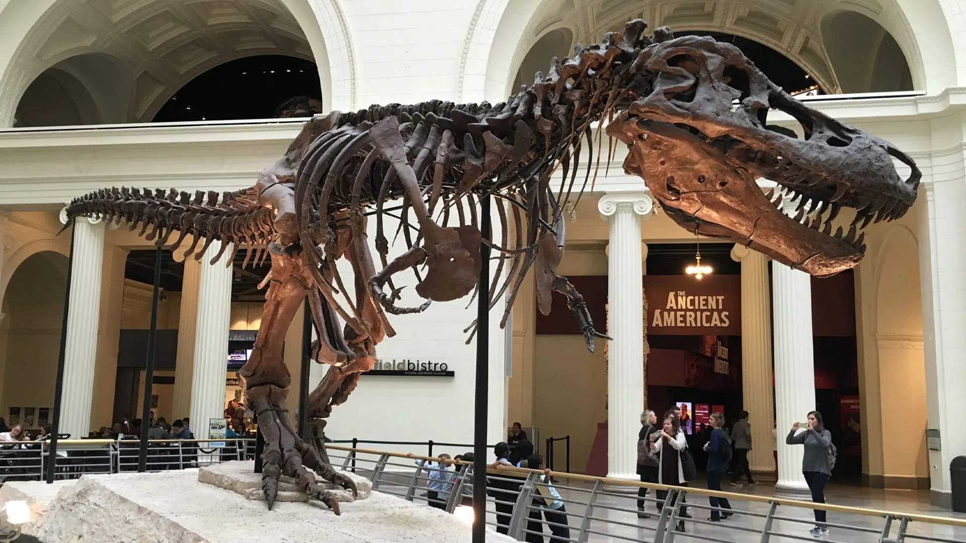 Museum Access