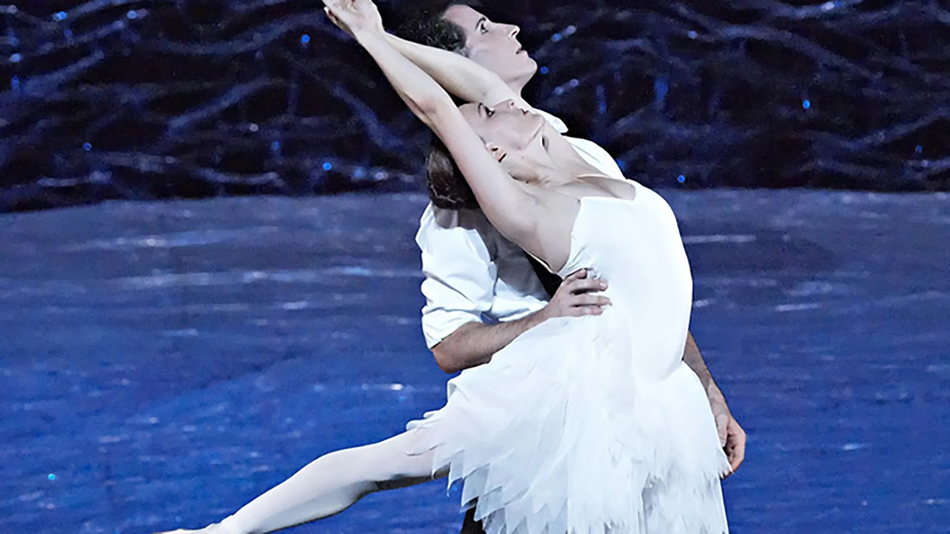 Swan Lake