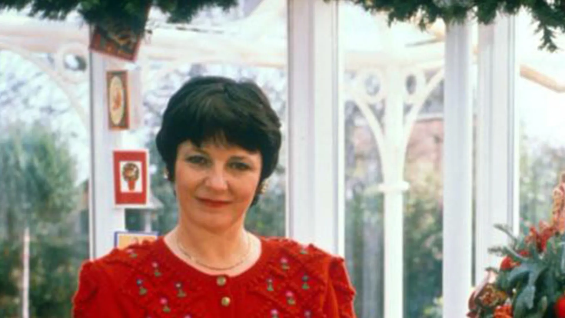 Delia Smith's Christmas
