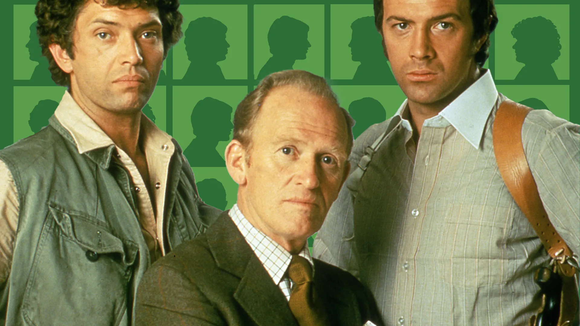 The Professionals
