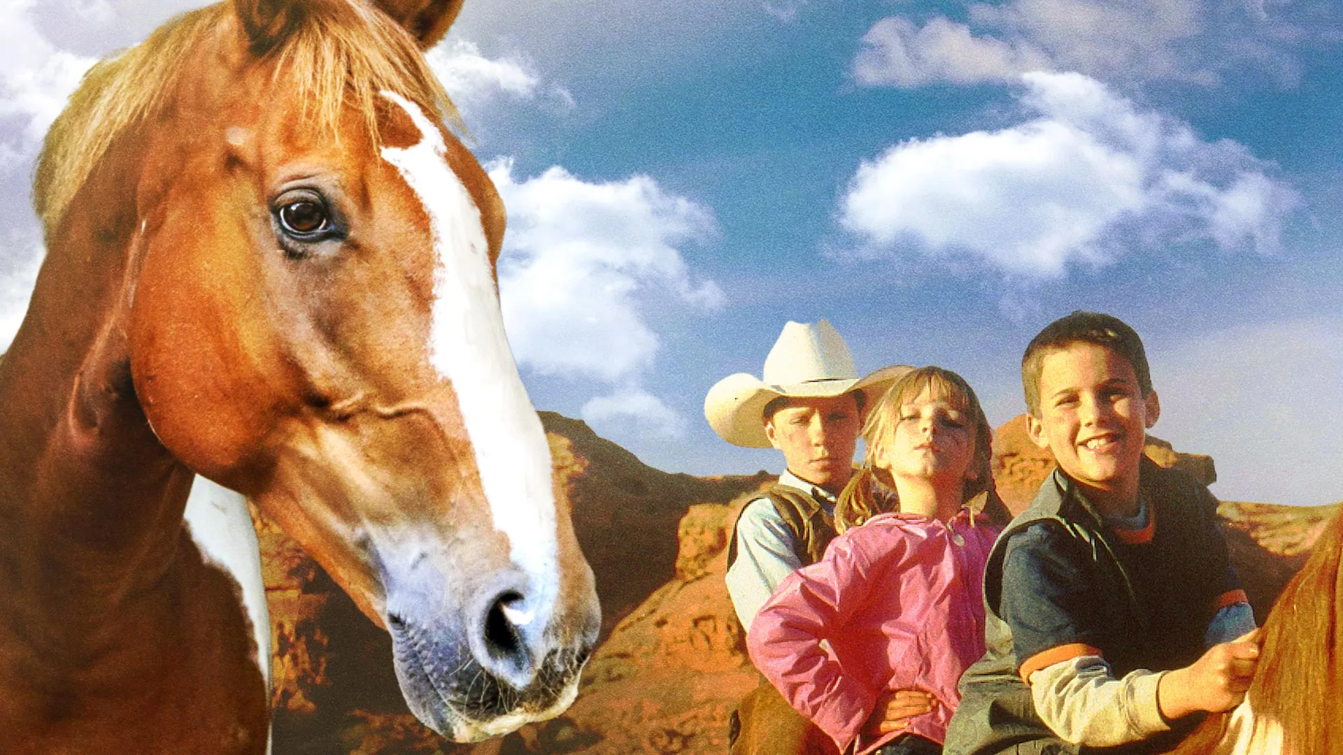 Horse Crazy