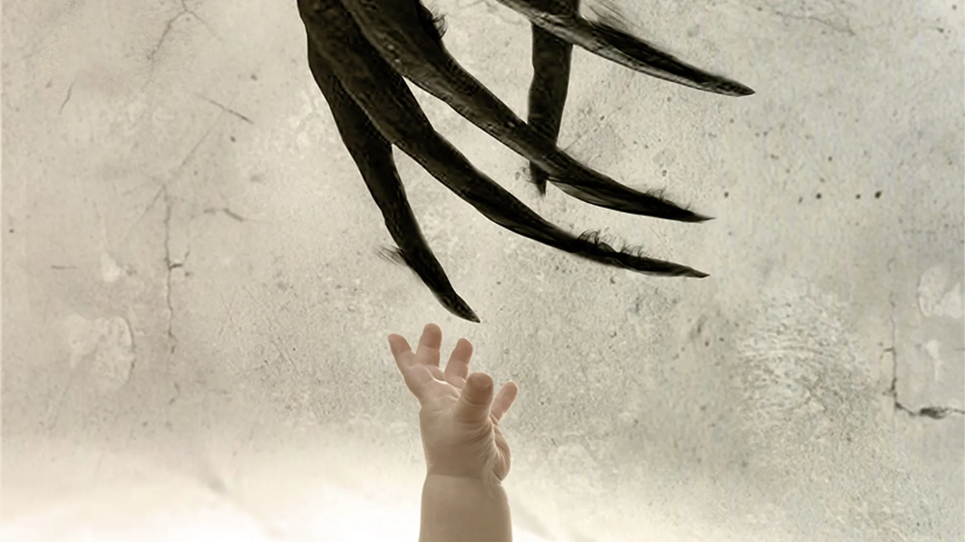 O Despertar das Sombras
