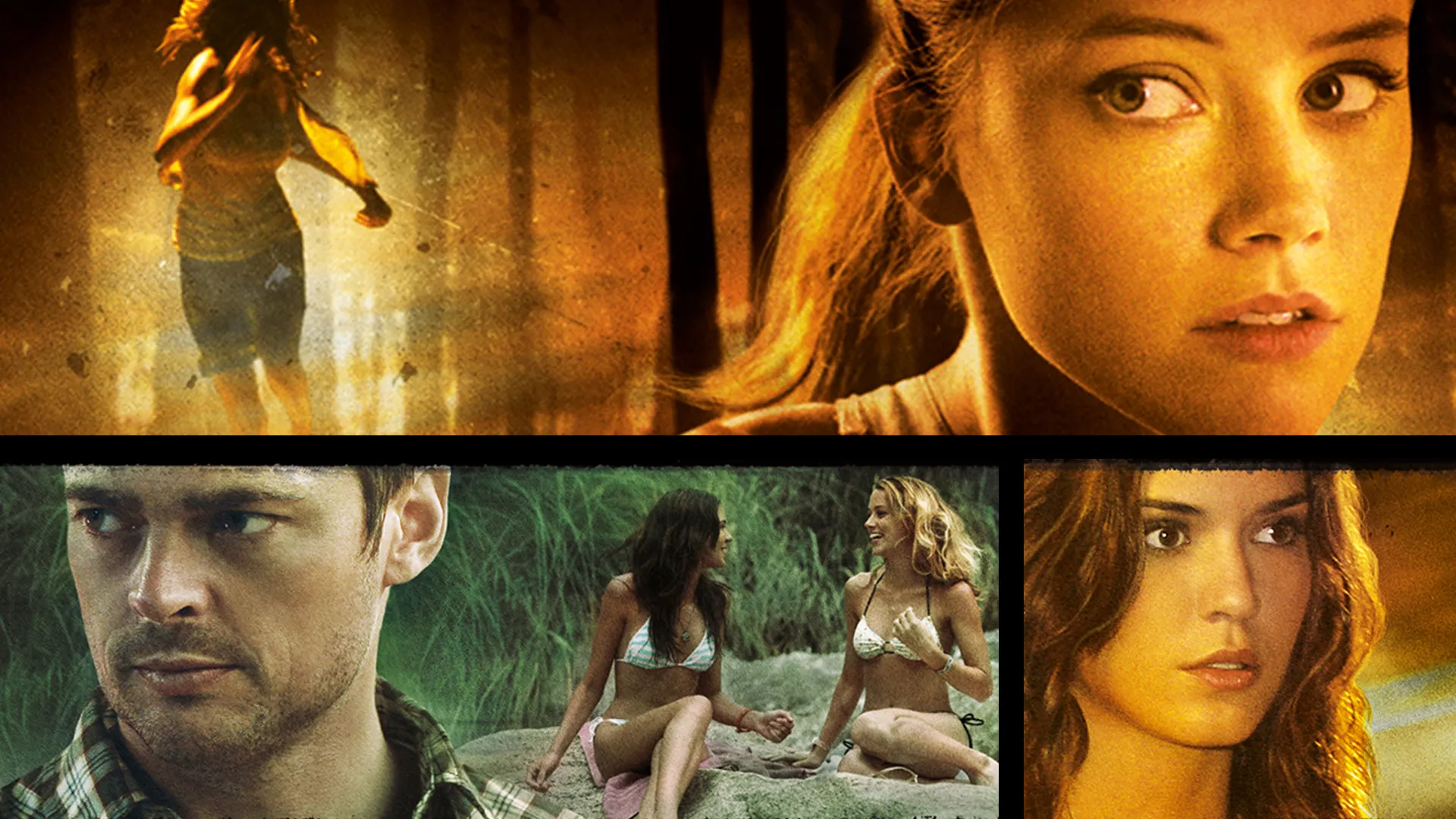 And Soon The Darkness (2010)