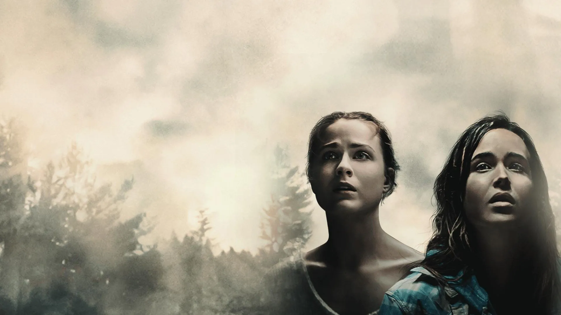 Into the Forest