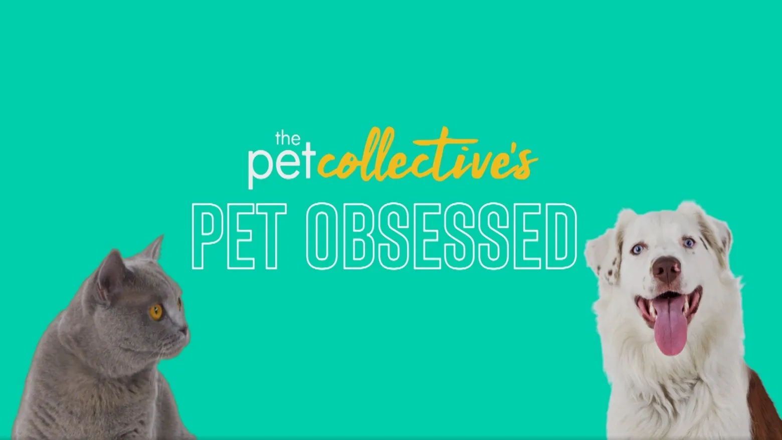 Haunted House of Pets