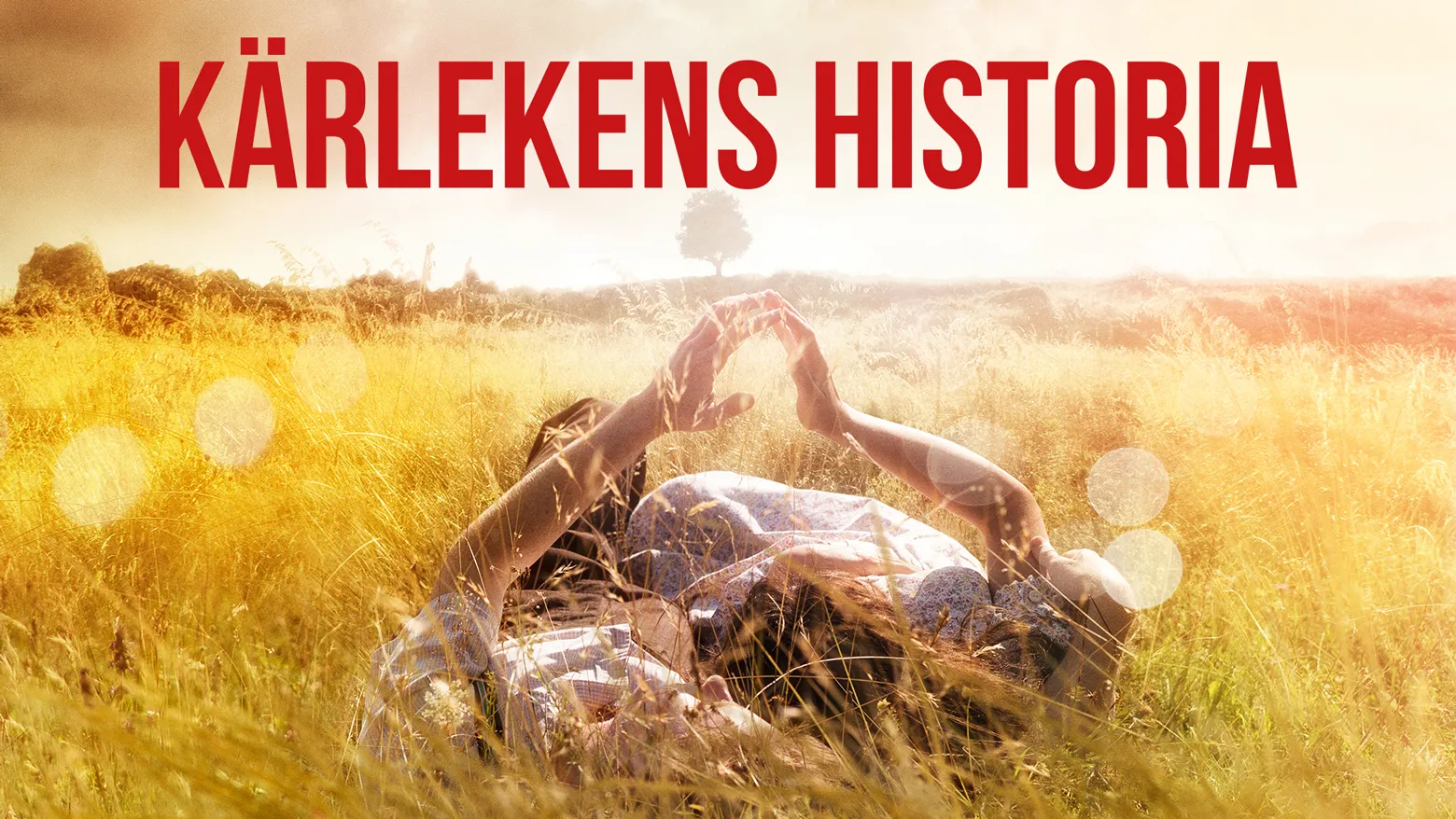 The History of Love