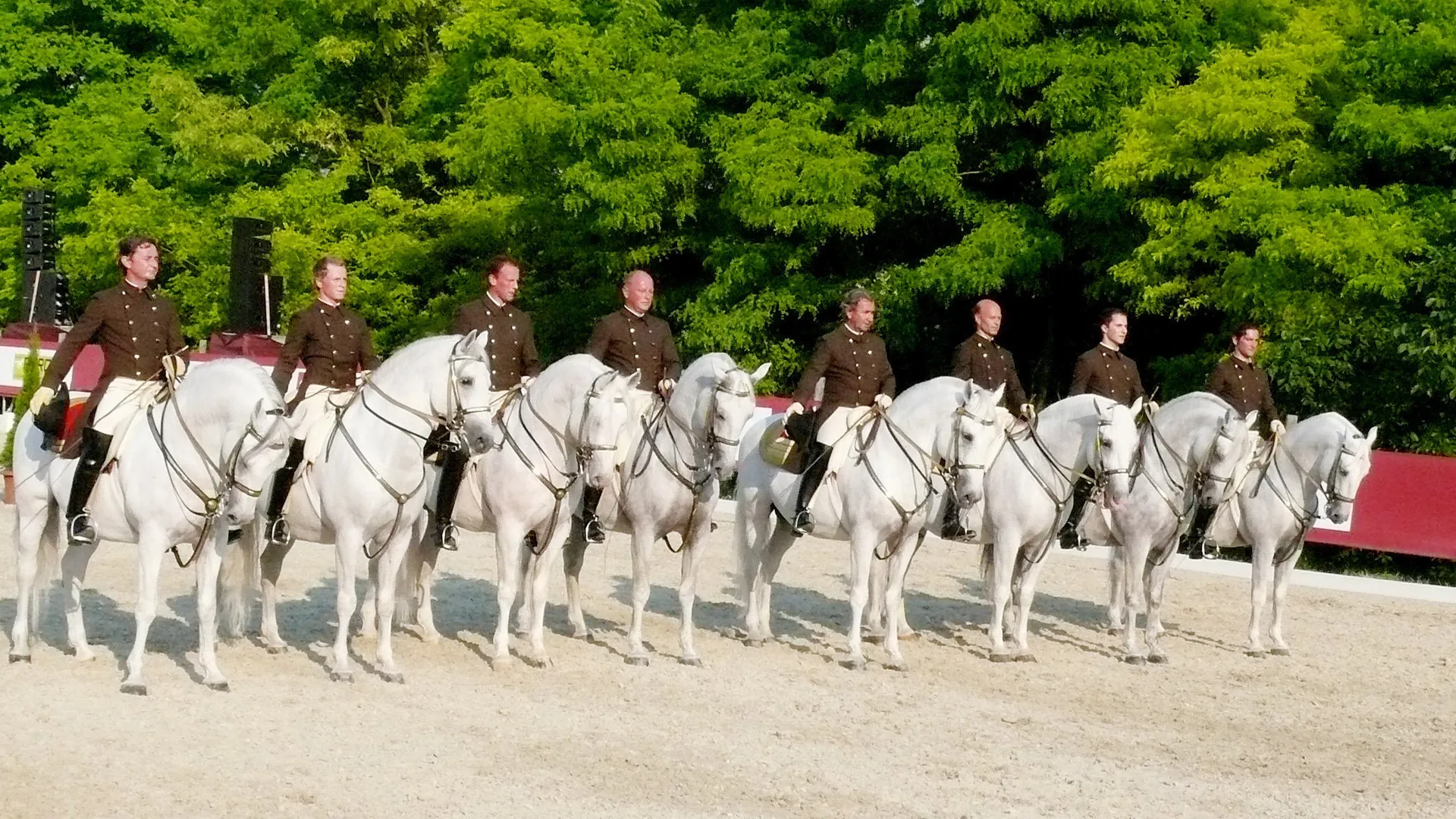 Das Weiße Ballett – Die Spanische Hofreitschule