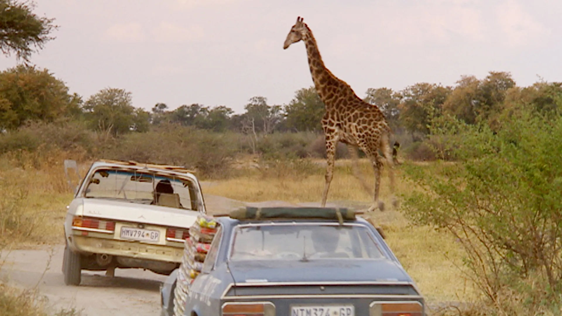Top Gear: Special: Botswana Special