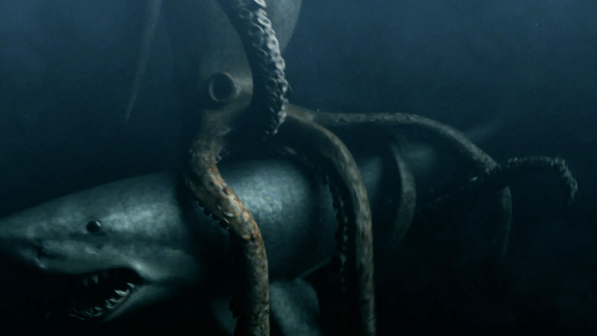 Mega Shark vs Giant Octopus